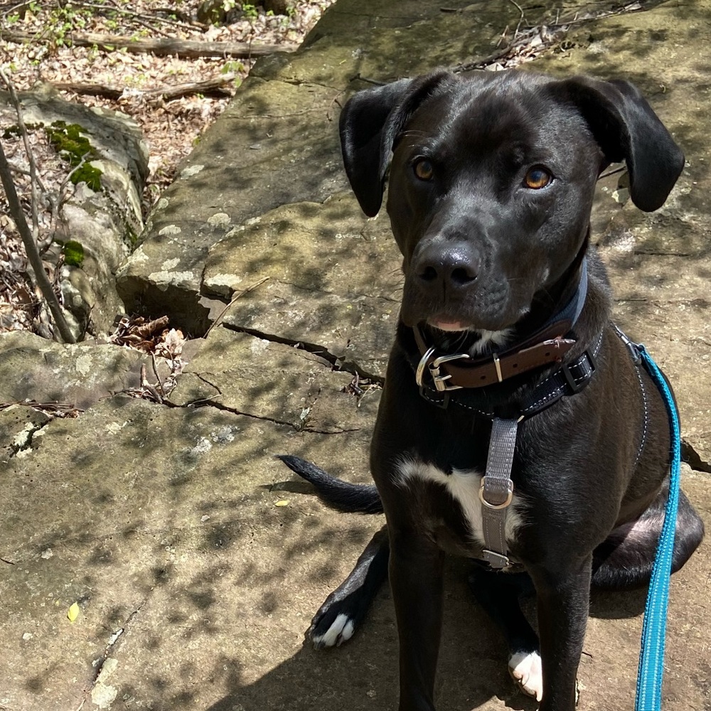 Meet your Posher, Emma